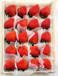 The Ultra-Luxury $300 Princess Strawberry: Why This Japanese Fruit Costs a Fortune - image 5