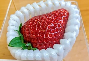 The Ultra-Luxury $300 Princess Strawberry: Why This Japanese Fruit Costs a Fortune - image 0
