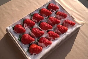 The Ultra-Luxury $300 Princess Strawberry: Why This Japanese Fruit Costs a Fortune - image 3