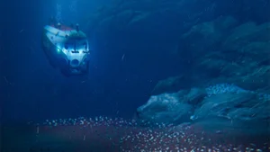 Deep Sea Discovery: Unique Marine Ecosystems Thriving on Chemicals - image 3