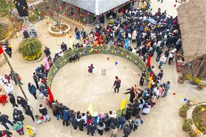 Top 10 Most Popular Travel Destinations in Vietnam for Lunar New Year (Tết) - image 3