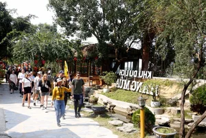 Top 10 Most Popular Travel Destinations in Vietnam for Lunar New Year (Tết) - image 4