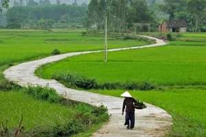 A Glimpse Into the Humble Hometown Roots of Footballer Nguyen Dinh Bac - image 1