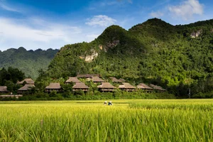 A Glimpse Into the Humble Hometown Roots of Footballer Nguyen Dinh Bac - image 5