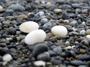 The Village of 'Heaven-Sent Wealth': Where Pebbles Turn into Billions - image 10