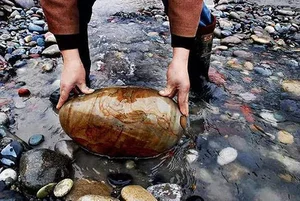 The Village of 'Heaven-Sent Wealth': Where Pebbles Turn into Billions - image 11