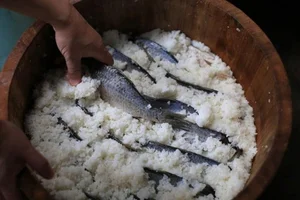 Funazushi: The Pungent Fermented Japanese Sushi That Intrigues Foodies - image 7