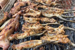 Exploring the Exotic Flavors of the Mekong Delta's Four-Legged Snake - image 3