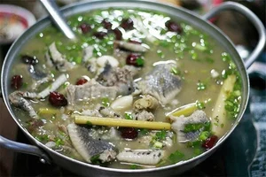 Exploring the Exotic Flavors of the Mekong Delta's Four-Legged Snake - image 7