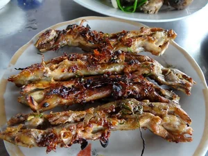 Exploring the Exotic Flavors of the Mekong Delta's Four-Legged Snake - image 0