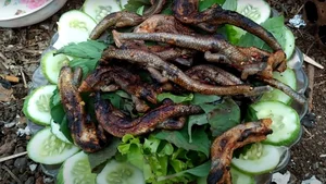 Exploring the Exotic Flavors of the Mekong Delta's Four-Legged Snake - image 8