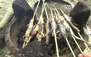 Exploring the Exotic Flavors of the Mekong Delta's Four-Legged Snake - image 1