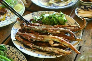 Exploring the Exotic Flavors of the Mekong Delta's Four-Legged Snake - image 4