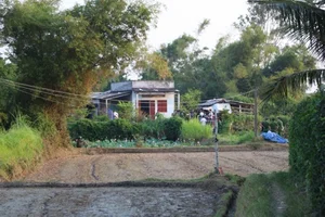 Investigation Into the Unusual Deaths of Four Individuals in Gia Lai Province - image 2