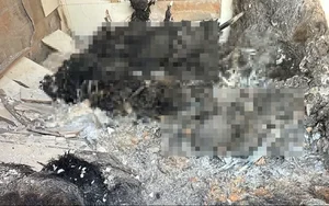 Investigation Into the Unusual Deaths of Four Individuals in Gia Lai Province - image 3