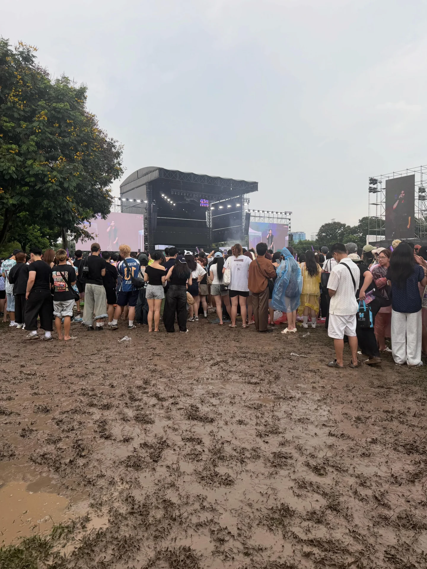 MCK’s Viral Moment: Thousands Wait for Hours to Witness the Rapper’s Romantic On-Stage Appearance