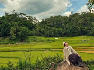 Mang Den Harvest Season: Cultural Stories from the Mo Nam People - image 4
