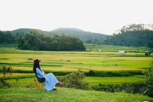 Mang Den Harvest Season: Cultural Stories from the Mo Nam People - image 1