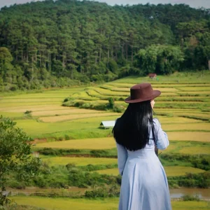 Mang Den Harvest Season: Cultural Stories from the Mo Nam People - image 2