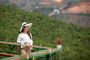 Ageless Elegance: Inside the Stunning Lives of 4 Wealthy Vietnamese Women over 50 - image 6