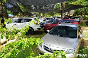 Escaping the City: Crowds Flock to Pristine Streams for September 2nd Holiday - image 0