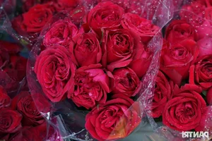 Ho Chi Minh City's Largest Flower Market Buzzes with Activity Ahead of October 20th - image 5