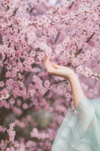 YiTuYu Art Language Vol.4938: Featuring Dang Chu Jiao Ren Jia Xiao Tian Tian - image 0