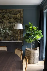 Stunning Indoor Plant Decoration Ideas for a Greener Home - image 7
