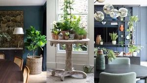 Stunning Indoor Plant Decoration Ideas for a Greener Home - image 4