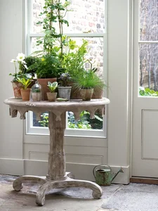 Stunning Indoor Plant Decoration Ideas for a Greener Home - image 6