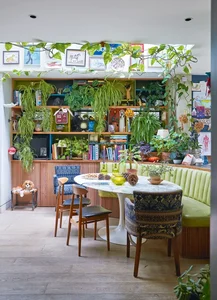 Stunning Indoor Plant Decoration Ideas for a Greener Home - image 5