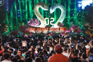 Massive Crowds Gather at Nguyen Hue Flower Street for Lunar New Year - image 2