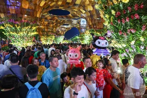 Massive Crowds Gather at Nguyen Hue Flower Street for Lunar New Year - image 0