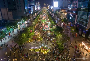Massive Crowds Gather at Nguyen Hue Flower Street for Lunar New Year - image 12