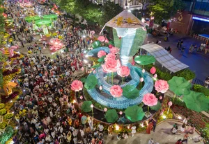 Massive Crowds Gather at Nguyen Hue Flower Street for Lunar New Year - image 9