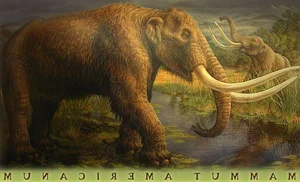 14 Fascinating Facts About Prehistoric Mastodons - image 7