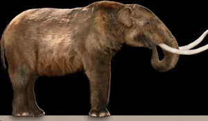 14 Fascinating Facts About Prehistoric Mastodons - image 6
