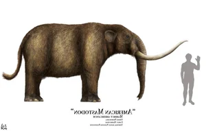 14 Fascinating Facts About Prehistoric Mastodons - image 1