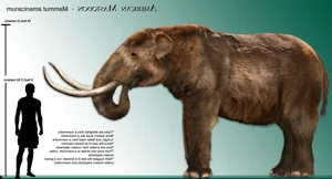 14 Fascinating Facts About Prehistoric Mastodons - image 13