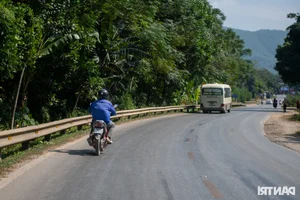 The Farmer's Marathon Dream: Chasing Glory on the Vietnamese Running Circuit - image 7