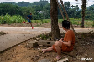 The Farmer's Marathon Dream: Chasing Glory on the Vietnamese Running Circuit - image 16