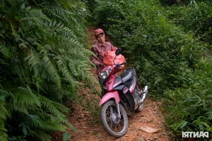 The Farmer's Marathon Dream: Chasing Glory on the Vietnamese Running Circuit - image 8