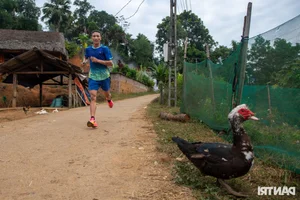 The Farmer's Marathon Dream: Chasing Glory on the Vietnamese Running Circuit - image 14