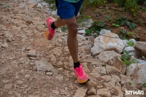 The Farmer's Marathon Dream: Chasing Glory on the Vietnamese Running Circuit - image 1