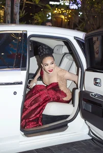Inside the Impressive Wealth and Success of Artist Viet Huong - image 9