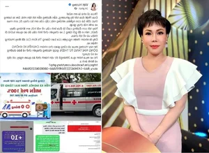 Inside the Impressive Wealth and Success of Artist Viet Huong - image 2