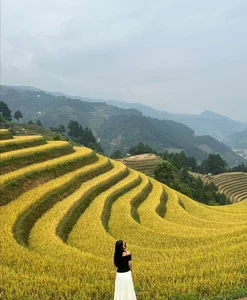 Photography Haven: How to Pick the Perfect Mu Cang Chai Harvest Tour - image 1