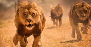 Why Don't Animals Fear Inbreeding? The Evolutionary Science Behind Mating Strategies - image 1