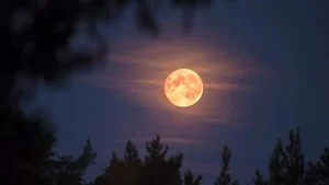 Mid-Autumn Supermoon Guide: Best Viewing Times and Tips in Vietnam - image 7
