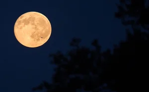 Mid-Autumn Supermoon Guide: Best Viewing Times and Tips in Vietnam - image 6